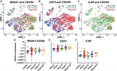 Development of combinatorial antibody therapies for diffuse large B cell lymphoma